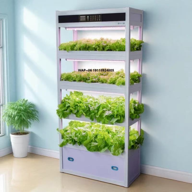 Indoor Intelligent Soilless Cu - Hydroponic System 评论和价格