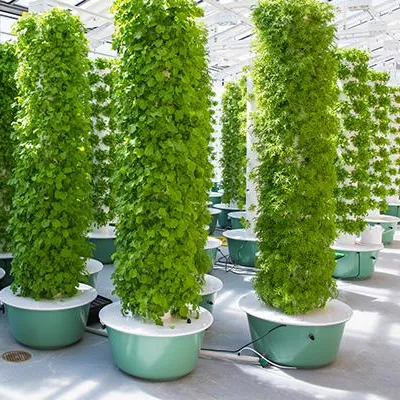 Aeroponics Towers Garden Syste - Hydroponic System 评论和价格