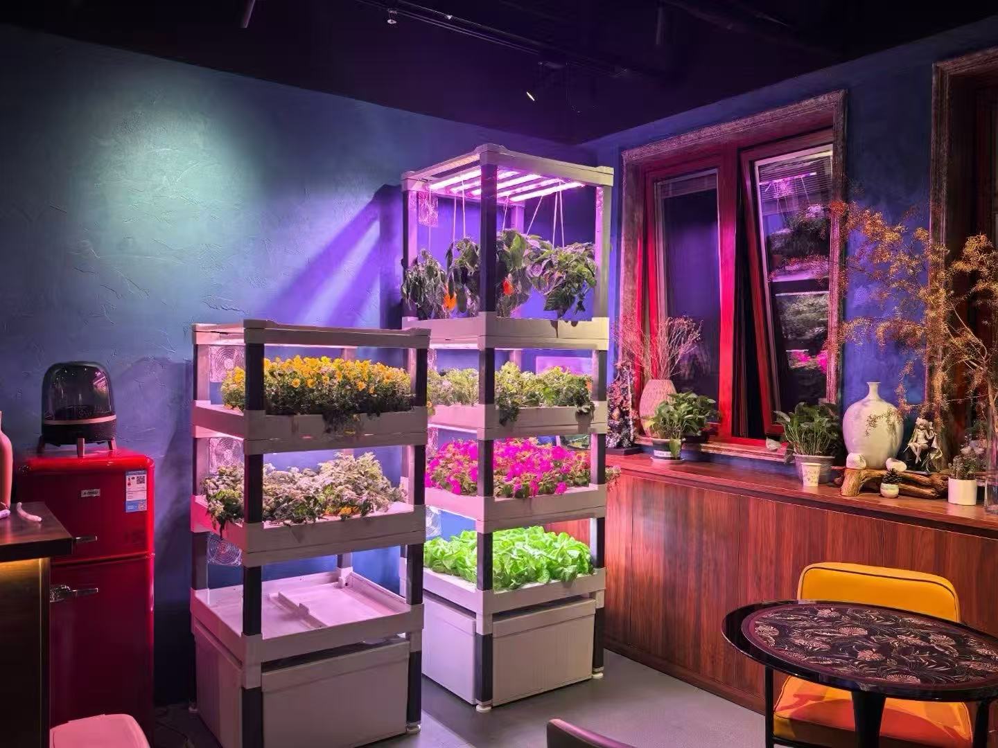 New Automatic Home Use Vertica - Hydroponic System 评论和价格