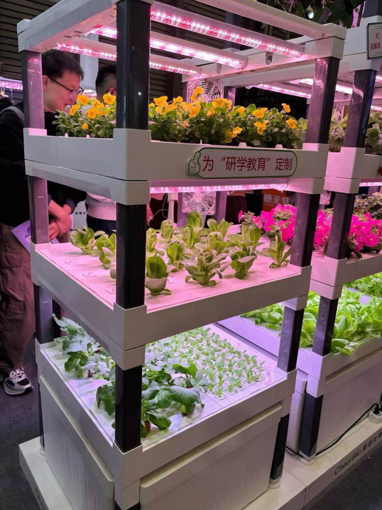 New Automatic Home Use Vertica - Hydroponic System 评论和价格
