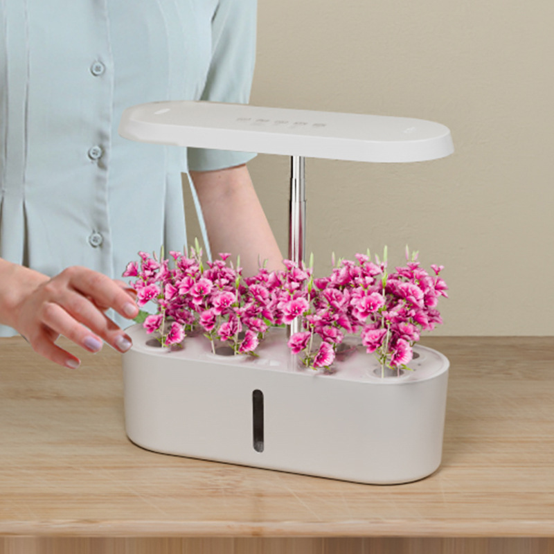 Home Smart Hydroponic Vegetabl - Hydroponic System 评论和价格