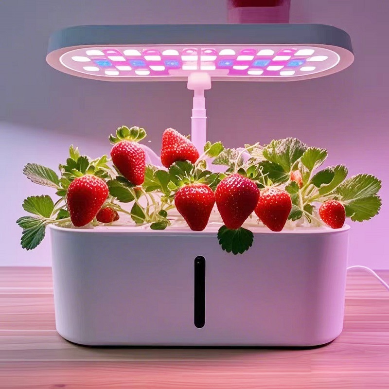 Home Smart Hydroponic Vegetabl - Hydroponic System 评论和价格