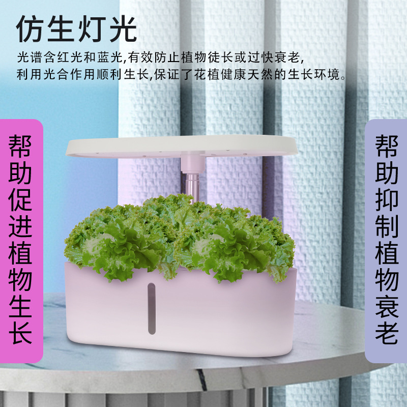 Home Smart Hydroponic Vegetabl - Hydroponic System 评论和价格