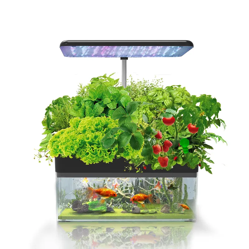 Brand IGS-70 Indoor Hydroponic - Hydroponic System 评论和价格