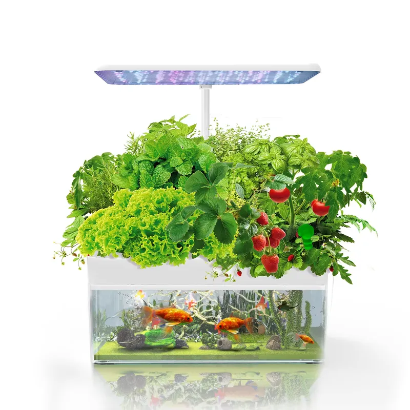 Brand IGS-70 Indoor Hydroponic - Hydroponic System 评论和价格