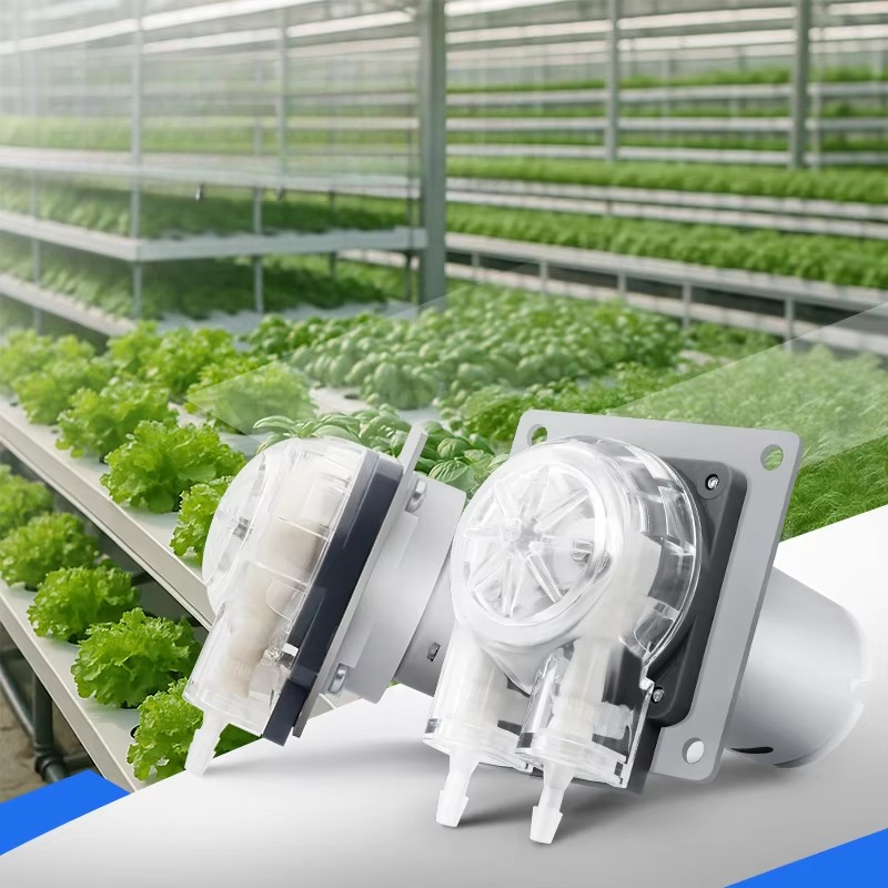 Low Noise 12V 24v Dc Motor 280 - Hydroponic System 评论和价格