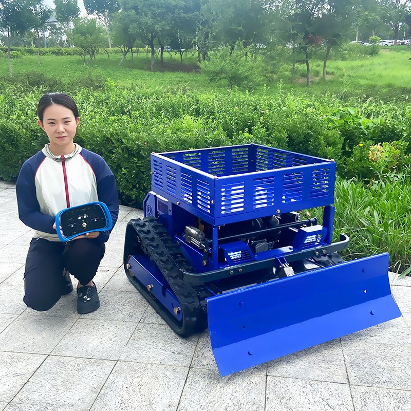 Customized Remote Control Lawn - Gardening Tools China 评论和价格