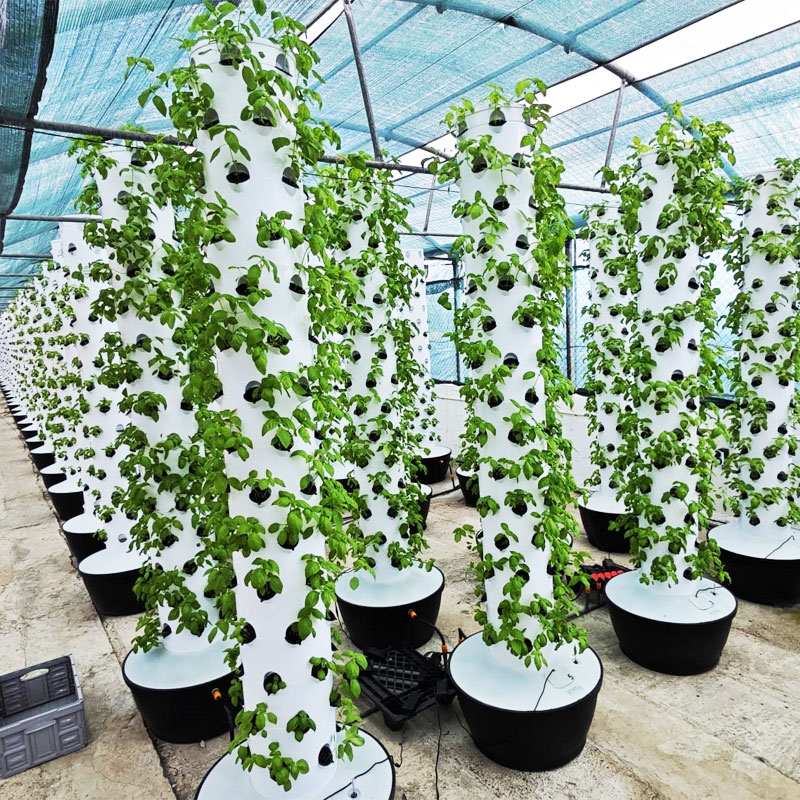 High Quality Easy Install Smal - Hydroponic System 评论和价格
