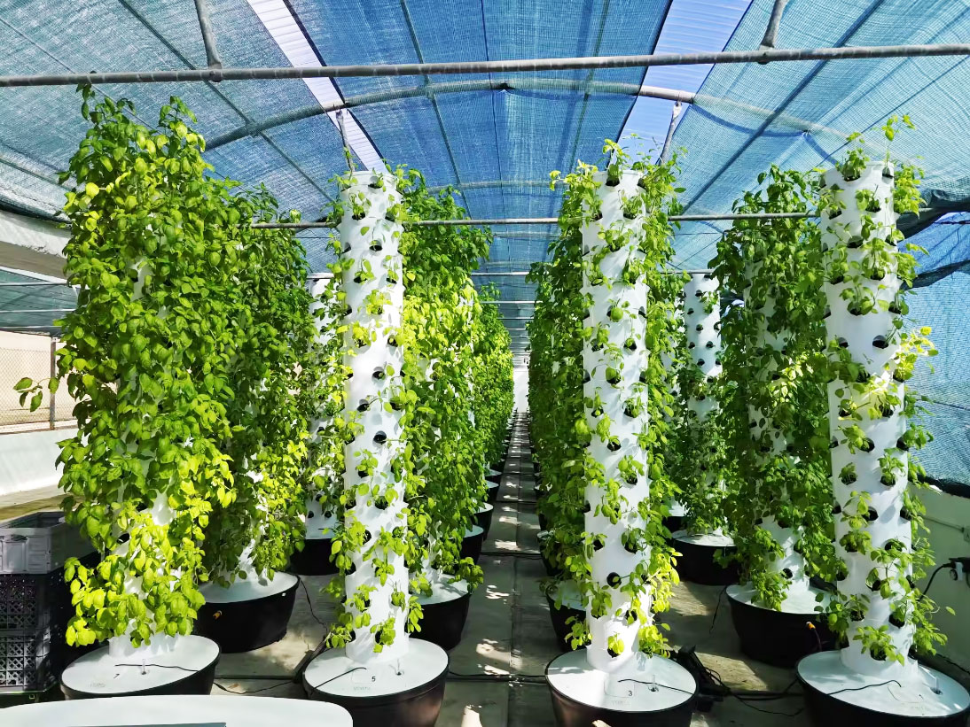 High Quality Easy Install Smal - Hydroponic System 评论和价格