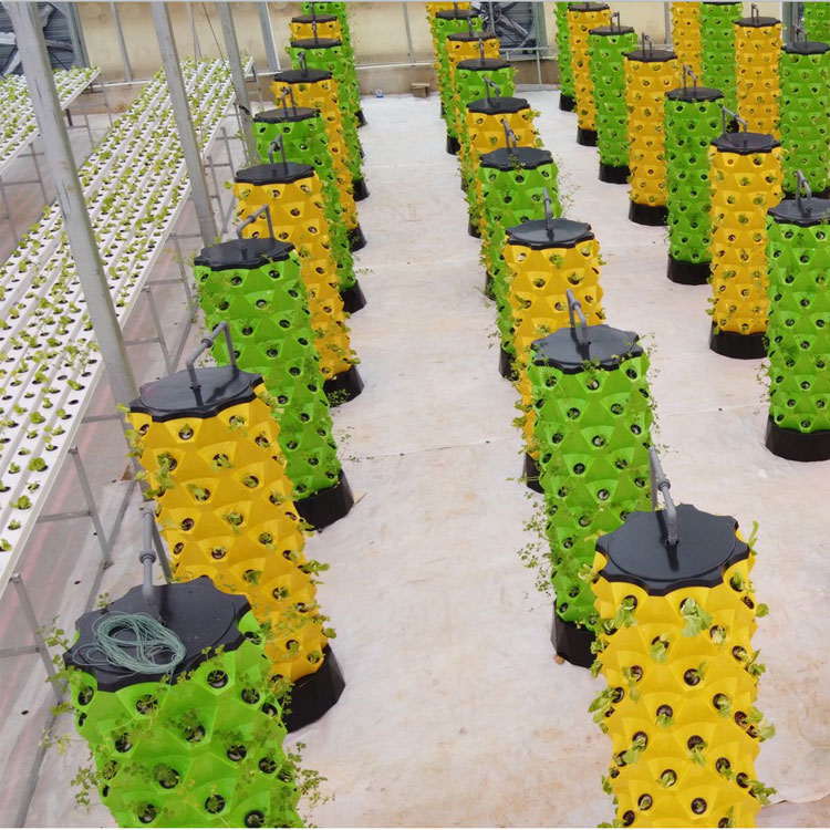 High Quality Easy Install Smal - Hydroponic System 评论和价格