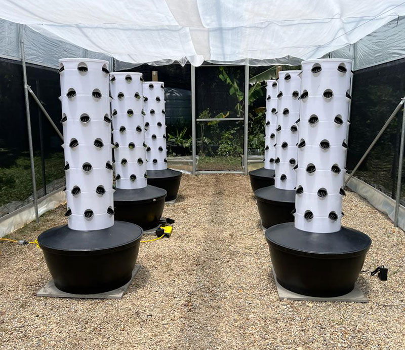 High Quality Easy Install Smal - Hydroponic System 评论和价格