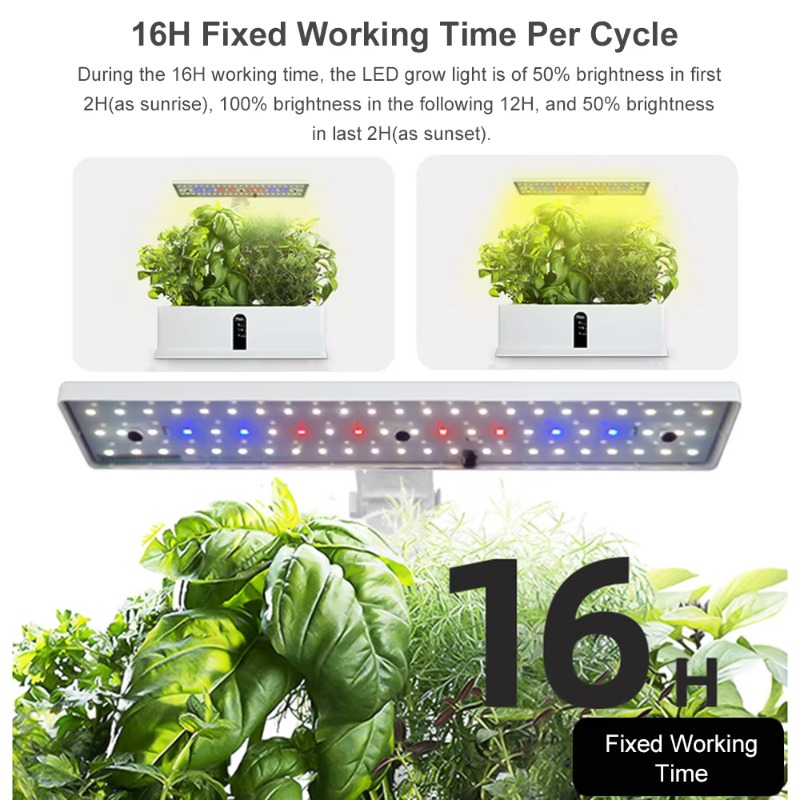 9 Pods Smart Hydroponics Growi - Hydroponic System 评论和价格