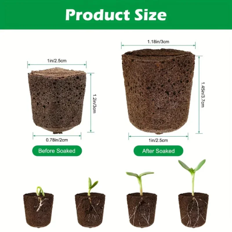 Seedling Starter Sponge Kit fo - Hydroponic System 评论和价格