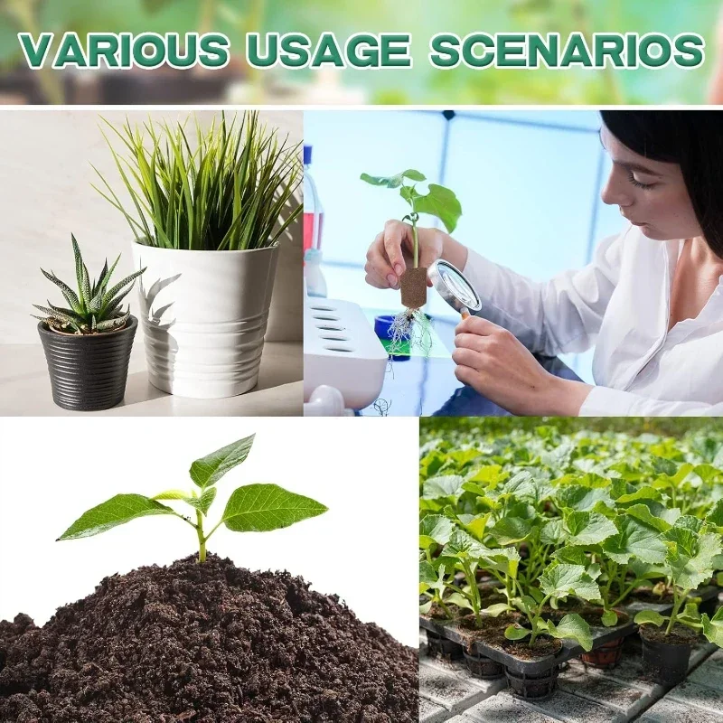 Seedling Starter Sponge Kit fo - Hydroponic System 评论和价格