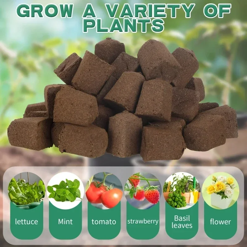 Seedling Starter Sponge Kit fo - Hydroponic System 评论和价格