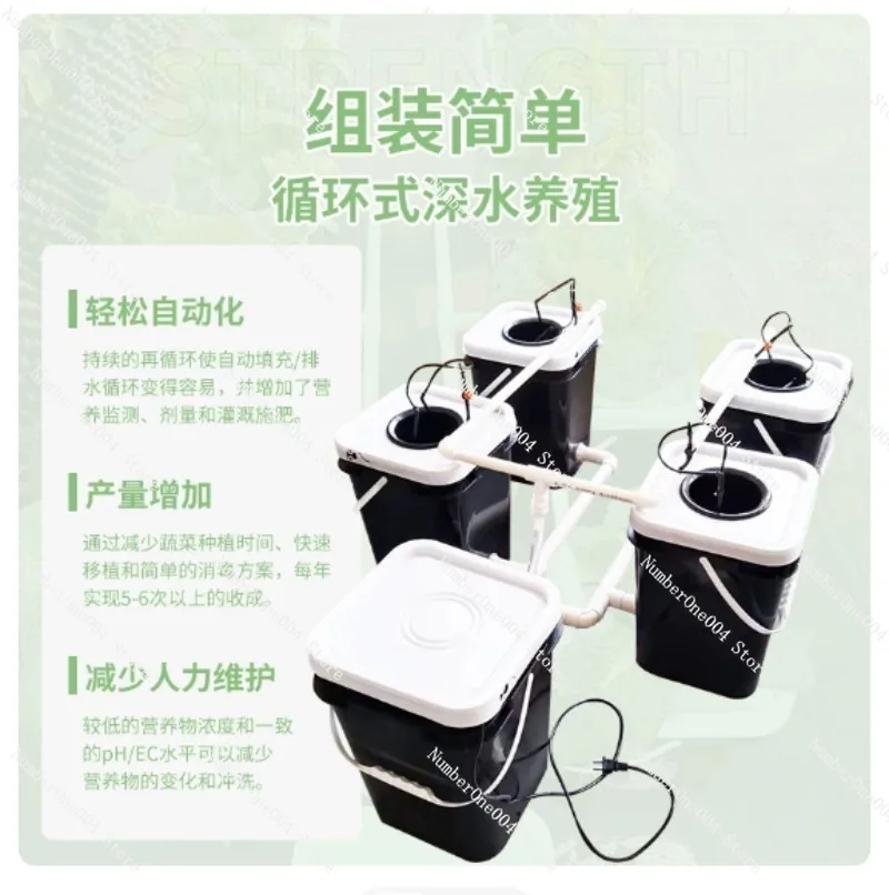 RDWC Home Balcony Hydroponic G - Hydroponic System 评论和价格
