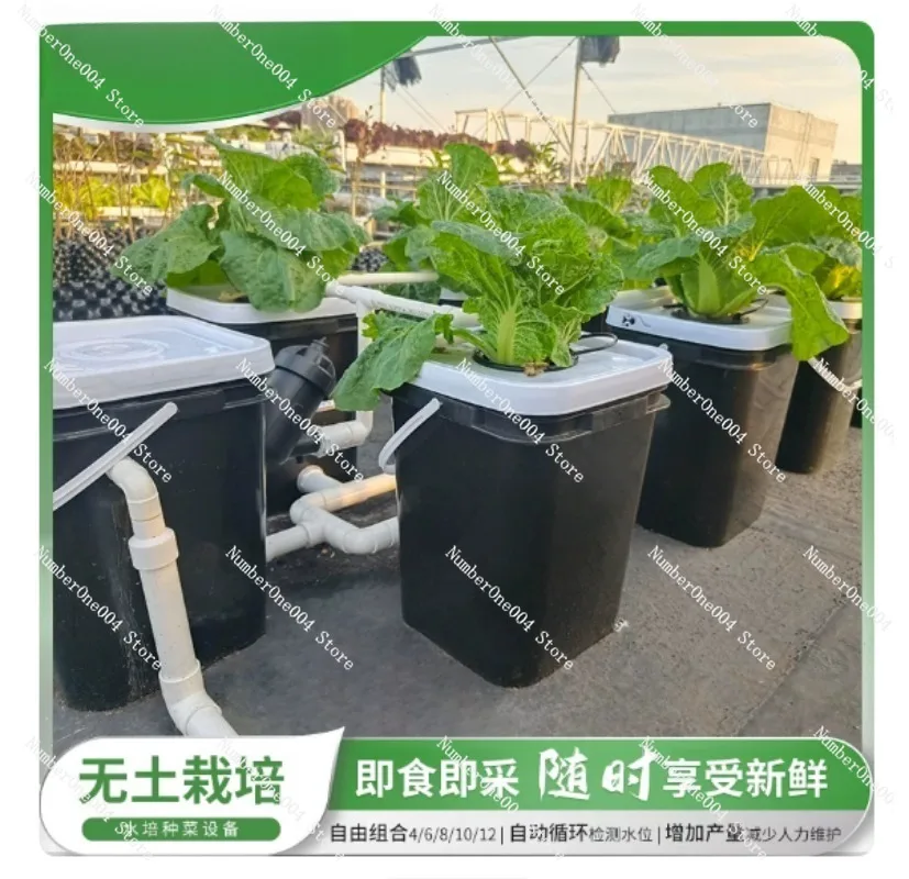 RDWC Home Balcony Hydroponic G - Hydroponic System 评论和价格
