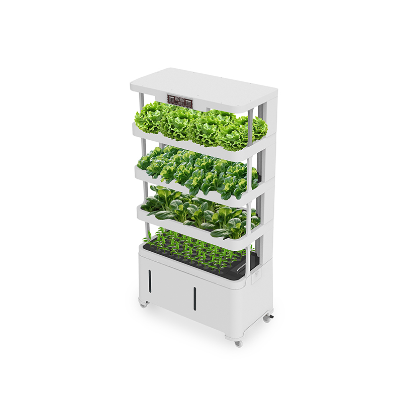 High-Tech Intelligent Hydropon - Hydroponic System 评论和价格